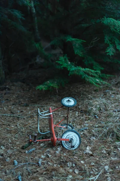 Opuszczony rower trójkołowy w ciemnym lesie jodłowym. — Zdjęcie stockowe