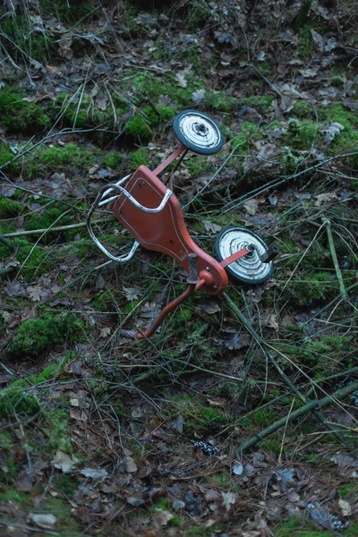 Triciclo abbandonato su terreno boschivo muschiato . — Foto Stock