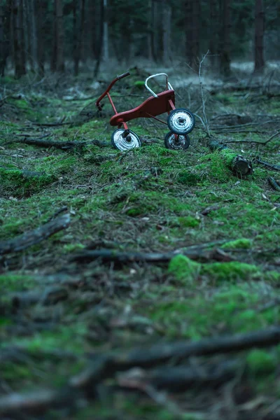 Verlaten driewieler op mossige grond in dennenbos. — Stockfoto