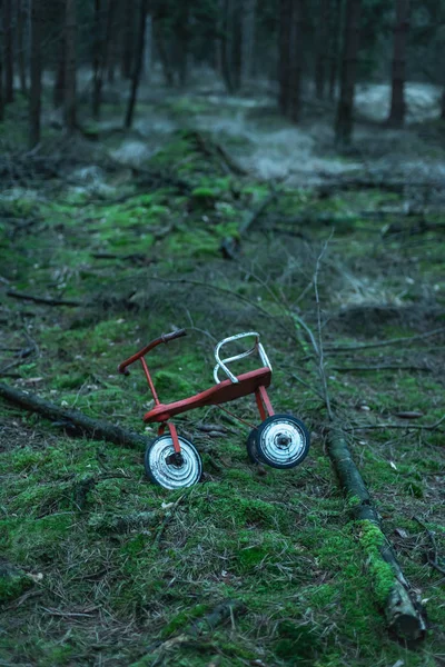 Abandoned tricycle on mossy ground in fir woodland. — 스톡 사진