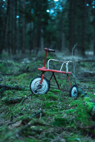 Abandoned tricycle on mossy ground in fir woodland. — 스톡 사진