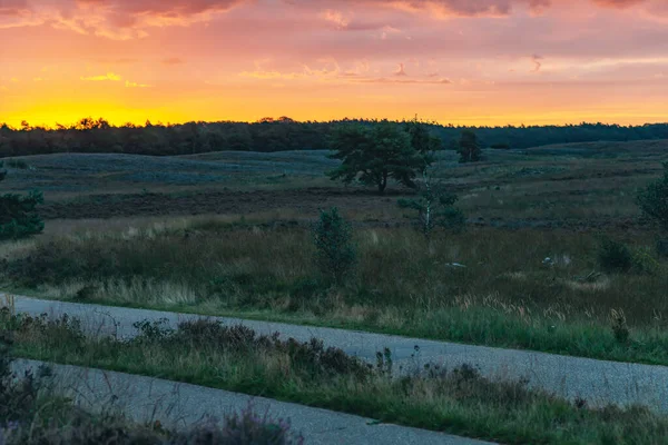 Út a dombos Heathland táj napkeltekor. — Stock Fotó