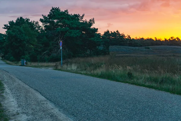 Road in hilly heathland landscape at sunrise. — Stock Photo, Image