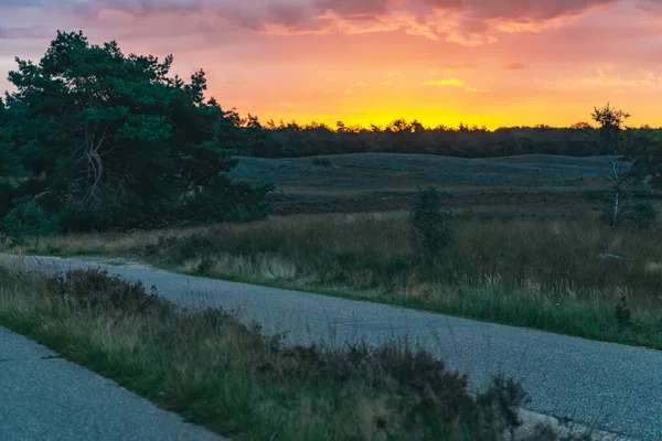 Road in hilly heathland landscape at sunrise. — Stock Photo, Image