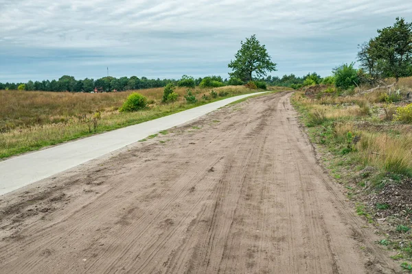 Vuile weg in heuvelachtig grasland met dennenbomen onder bewolkte lucht. — Stockfoto