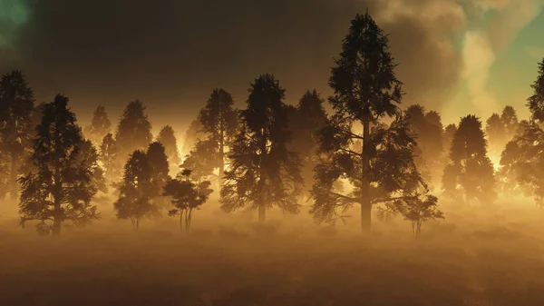 Wazig Bos Bij Zonsondergang Digitaal Gegenereerd — Stockfoto