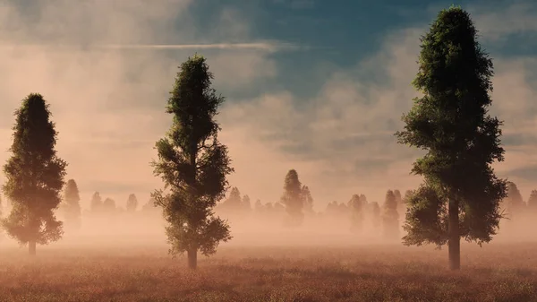 Stromy Zamlženém Poli Digitálně Generované Při Východu Slunce — Stock fotografie