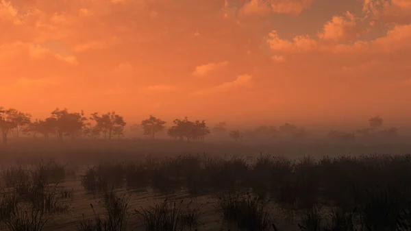 Gräsmark Med Träd Molnig Himmel Vid Solnedgången Återgivning — Stockfoto