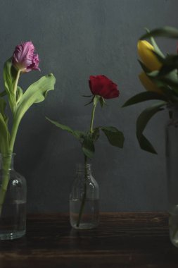 Ahşap masadaki cam vazolarda mor, kırmızı ve sarı çiçekler..