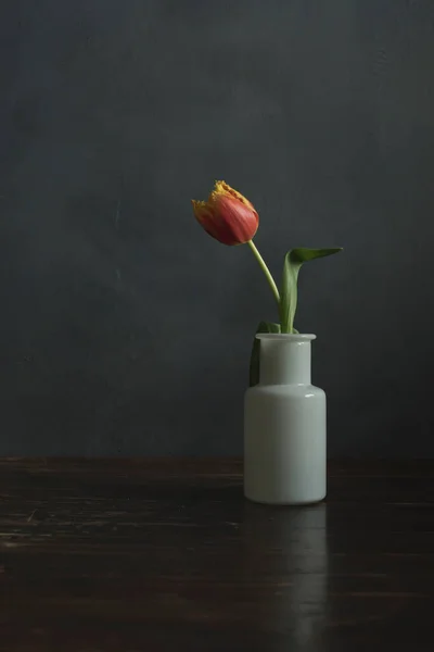 Red Yellow Flame Tulip White Glass Vase Wooden Table — Stock Photo, Image