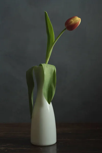 Red Yellow Flame Tulip White Glass Vase Wooden Table — Stock Photo, Image