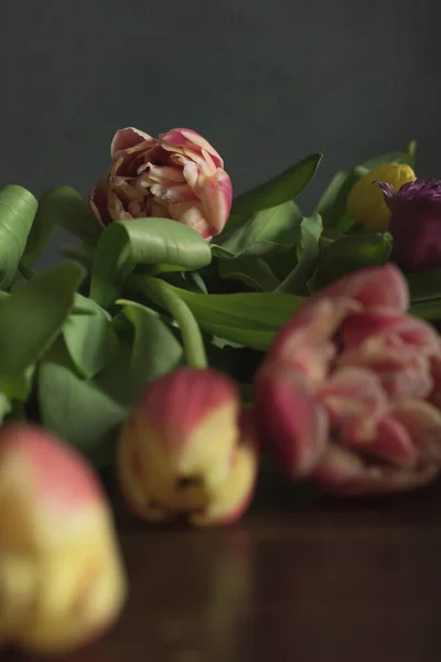 Pink Yellow Red Purple Tulips Wooden Table — Stock Photo, Image