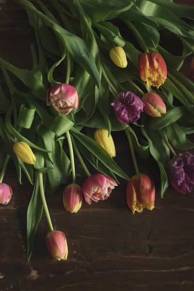 Pink Yellow Red Purple Tulips Wooden Table — Stock Photo, Image