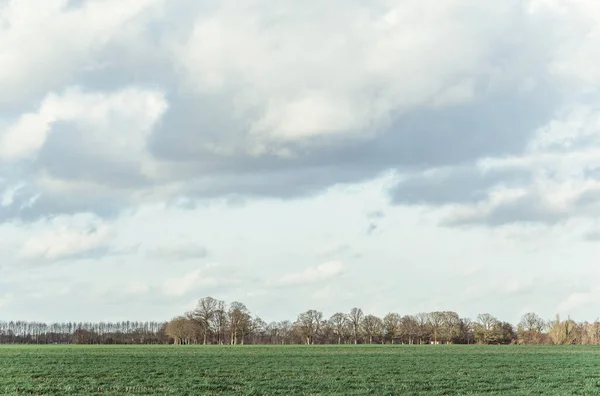 冬は曇り空の田舎の草原 — ストック写真