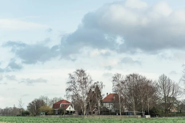 Casas Atrás Vidoeiros Abaixo Céu Nublado Campo Inverno — Fotografia de Stock