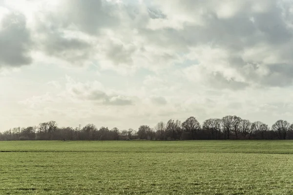 Grasveld Het Zonlicht Onder Bewolkte Hemel — Stockfoto