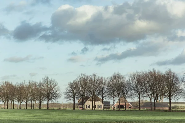 Landelijk Landschap Met Boerderij Kale Bomen Het Zonlicht Onder Blauwe — Stockfoto