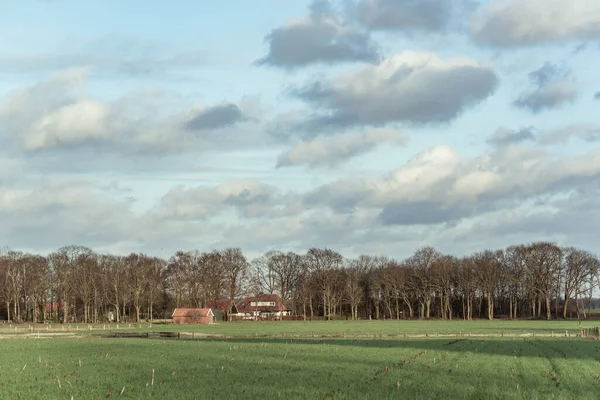 Rural Landscape Houses Bare Trees Sunlight Blue Cloudy Sky — Stock Photo, Image