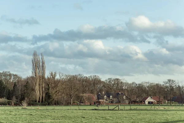 青空の下で太陽の下で家や裸の木と農村風景 — ストック写真