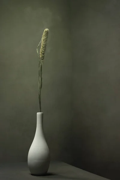 在灰色的空空间里 干草茎在白色的陶器花瓶里 — 图库照片