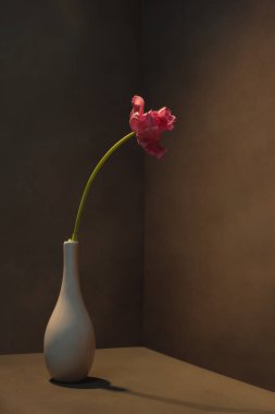 Boş gri odada, beyaz vazoda pembe lale..