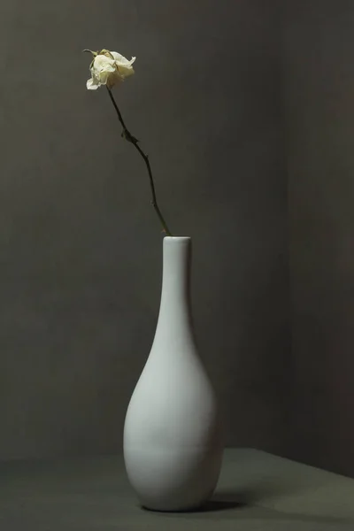 Rose Blanche Séchée Dans Vase Blanc Dans Une Pièce Grise — Photo