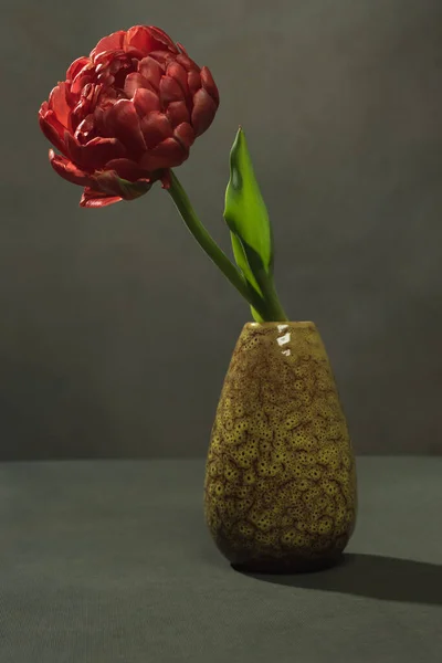 Red flower in a green vintage vase in a grey room.