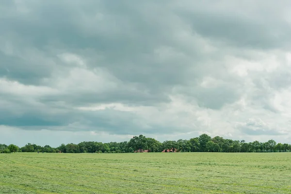 Prato Con Alberi All Orizzonte Sotto Cielo Nuvoloso — Foto Stock