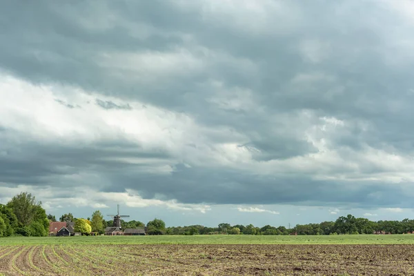 Teren Agricol Copaci Moară Vânt Orizont Sub Cerul Înnorat — Fotografie, imagine de stoc