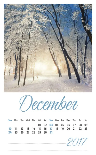 2017 photo calendar with beautiful landscape. December. — Stock Photo, Image