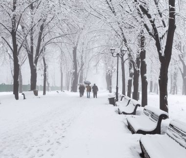 Kış city park sabah