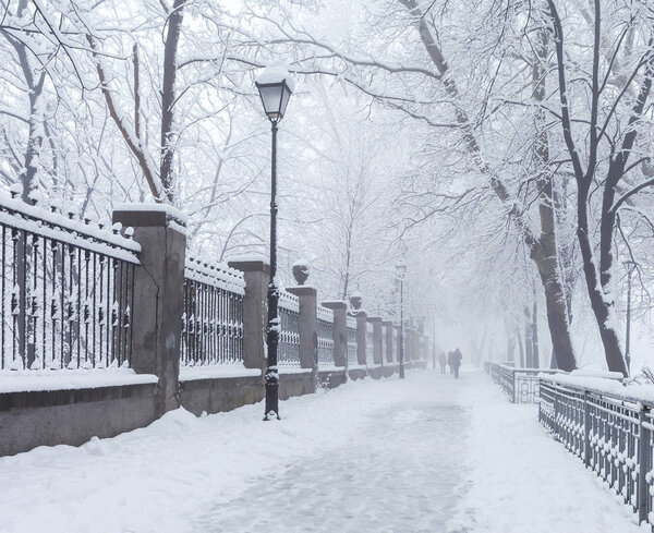 Winter city park in morning