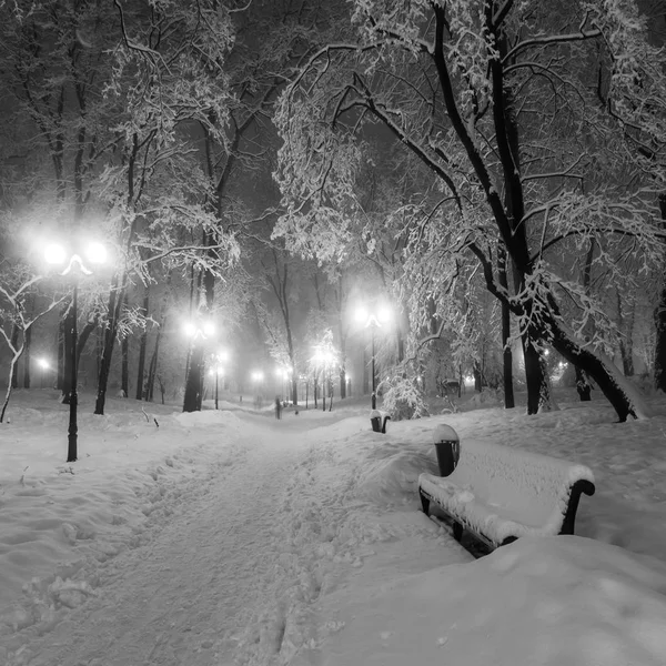 素晴らしい冬の都市公園の歩道 — ストック写真
