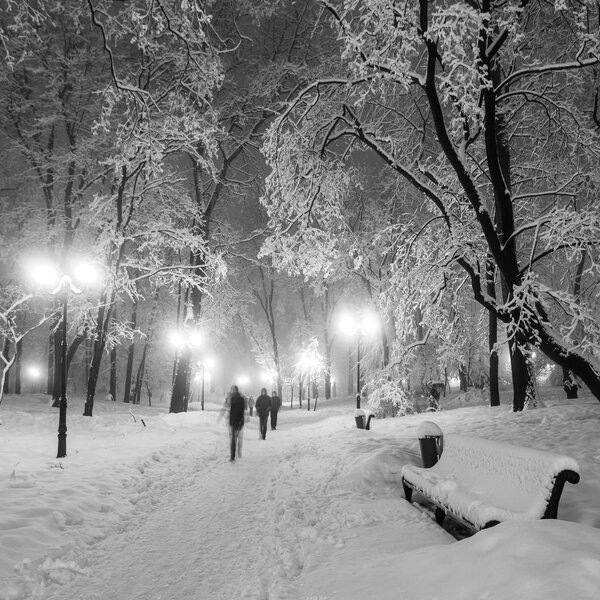 Footpath in a fabulous winter city park