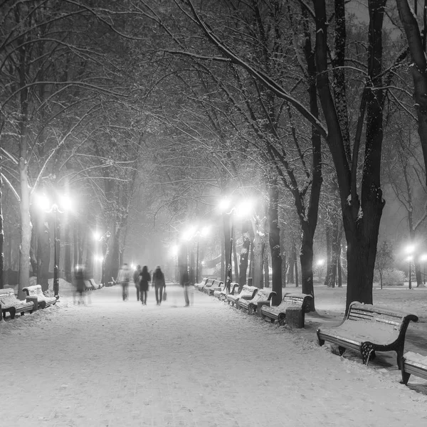 Footpath in a fabulous winter city park — Stock Photo, Image