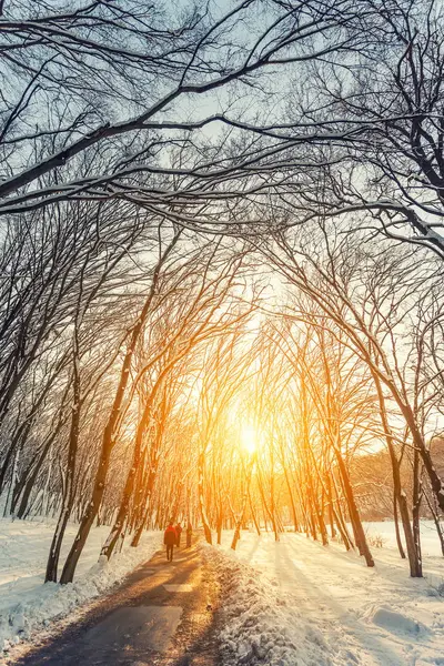 Kış city park sabah — Stok fotoğraf