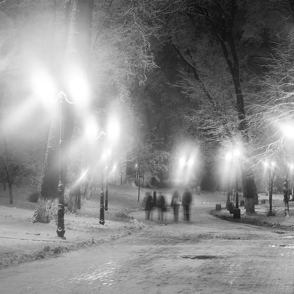 Тропа в сказочном зимнем городском парке — стоковое фото