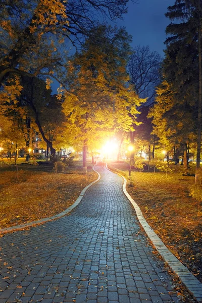 Осенний городской парк ночью — стоковое фото