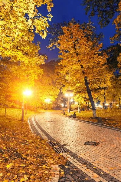 Осінній міський парк вночі — стокове фото