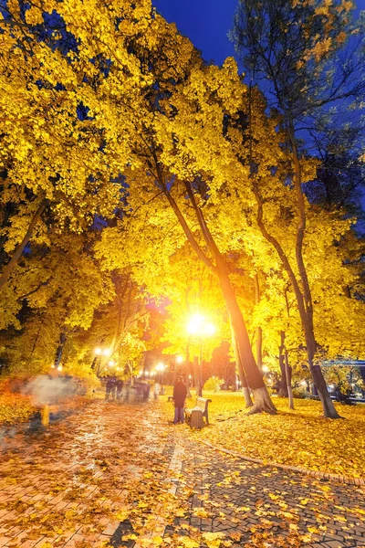 Autunno parco cittadino di notte — Foto Stock