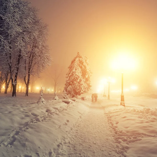 Sendero en un fabuloso parque de invierno de la ciudad — Foto de Stock