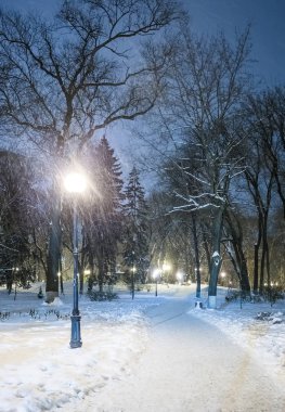 Muhteşem bir kış kenti parkında patika