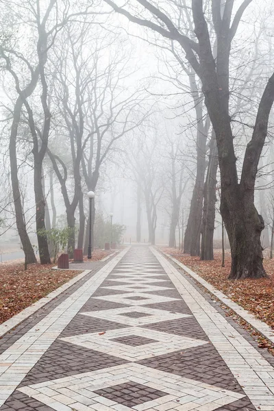 The avenue of foggy autumn city park in the morning — Stock Photo, Image