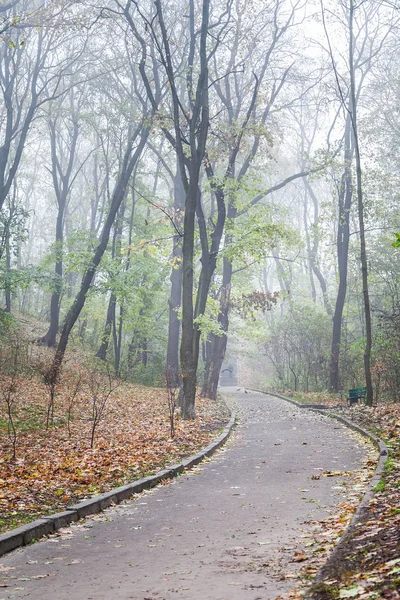 A avenida do parque nebuloso da cidade do outono na manhã — Fotografia de Stock
