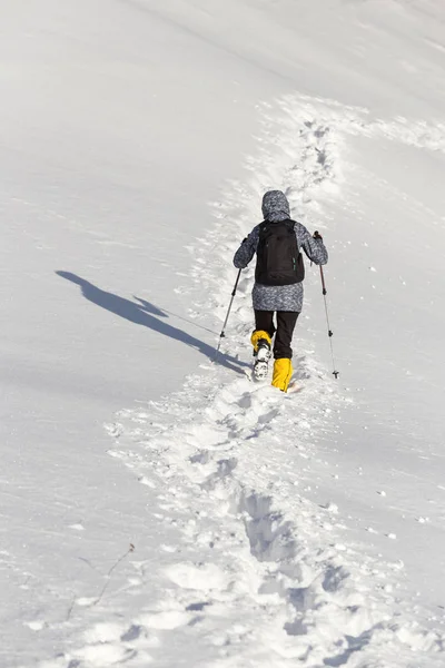 Wandelaar in de winter bergen — Stockfoto