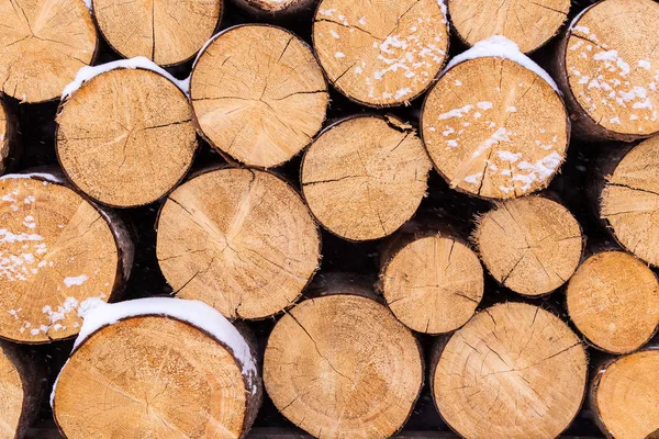 Fondo de troncos de leña picados en seco apilados uno encima del otro en una pila en invierno — Foto de Stock