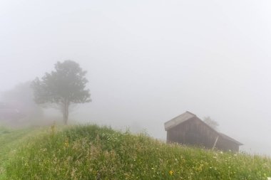Yaz manzara. Ukrayna Karpatlar dağ köyü. 