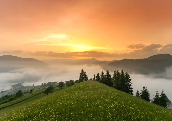 Foggy mountain landscape under morning sky. Carpathian mountains, Ukraine. — Stock Photo, Image