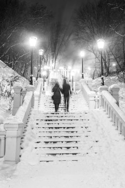 Muhteşem bir kış kenti parkında patika