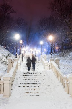 Muhteşem bir kış kenti parkında patika